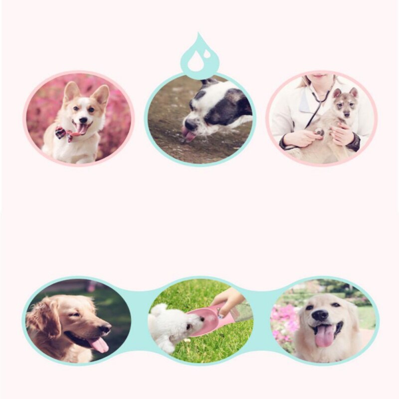 Bouteille d'eau Portable pour animaux de compagnie, bouteille pour chiens et chats, coupe d'eau facile à transporter, pour les voyages en plein air ou en plein air Bouteille d'eau Portable pour animaux de compagnie, bouteille pour chiens et chats, coupe d'eau facile à transporter, pour les voyages en plein air ou en plein air