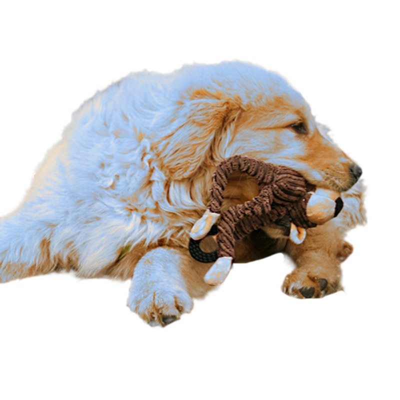 Animaux de compagnie chien jouets ventouse en caoutchouc chien mâcher jouets balle pour animaux de compagnie remorqueur jouet dent nettoyage mâcher chiot jouet pour animaux de compagnie remorqueur cor Animaux de compagnie chien jouets ventouse en caoutchouc chien mâcher jouets balle pour animaux de compagnie remorqueur jouet dent nettoyage mâcher chiot jouet pour animaux de compagnie remorqueur cor