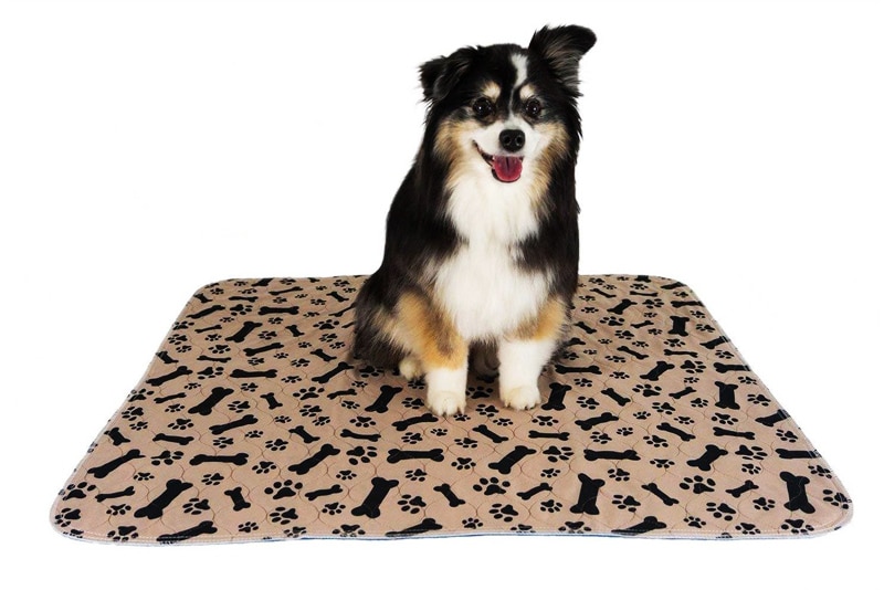 Livraison directe tapis de lit pour chien réutilisables imperméables tapis d'urine pour chien chiot pipi tapis absorbant rapide tapis pour dressage d'animaux domestiques Stock américain