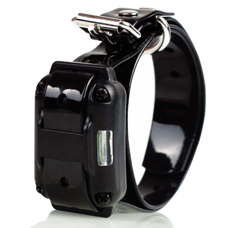 800m collier de dressage de chien collier dressage électrique pour animaux de compagnie télécommande étanche Rechargeable avec écran LCD pour tous les sons de Vibration de choc de taille 800m collier de dressage de chien collier dressage électrique pour animaux de compagnie télécommande étanche Rechargeable avec écran LCD pour tous les sons de Vibration de choc de taille