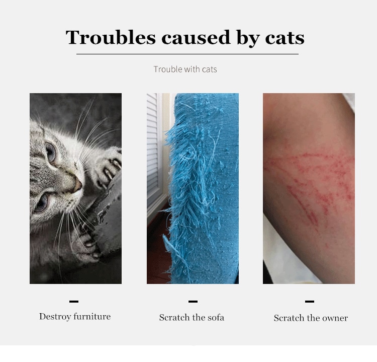 Chat chaton Scratch Board Pad Sisal jouet canapé meubles protecteur chat griffe soin produit chats Scratcher patte Pad avec clou Invisible Chat chaton Scratch Board Pad Sisal jouet canapé meubles protecteur chat griffe soin produit chats Scratcher patte Pad avec clou Invisible