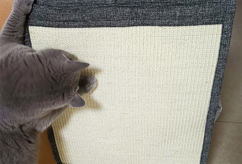 Chat chaton Scratch Board Pad Sisal jouet canapé meubles protecteur chat griffe soin produit chats Scratcher patte Pad avec clou Invisible Chat chaton Scratch Board Pad Sisal jouet canapé meubles protecteur chat griffe soin produit chats Scratcher patte Pad avec clou Invisible