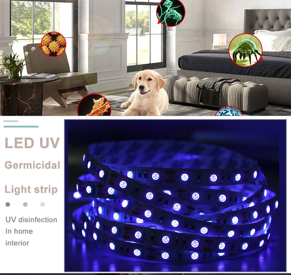 Bande lumineuse de stérilisation à 600 LED UVC, 5 mètres, 12V, ruban de lumière, nm Bande lumineuse de stérilisation à 600 LED UVC, 5 mètres, 12V, ruban de lumière, nm
