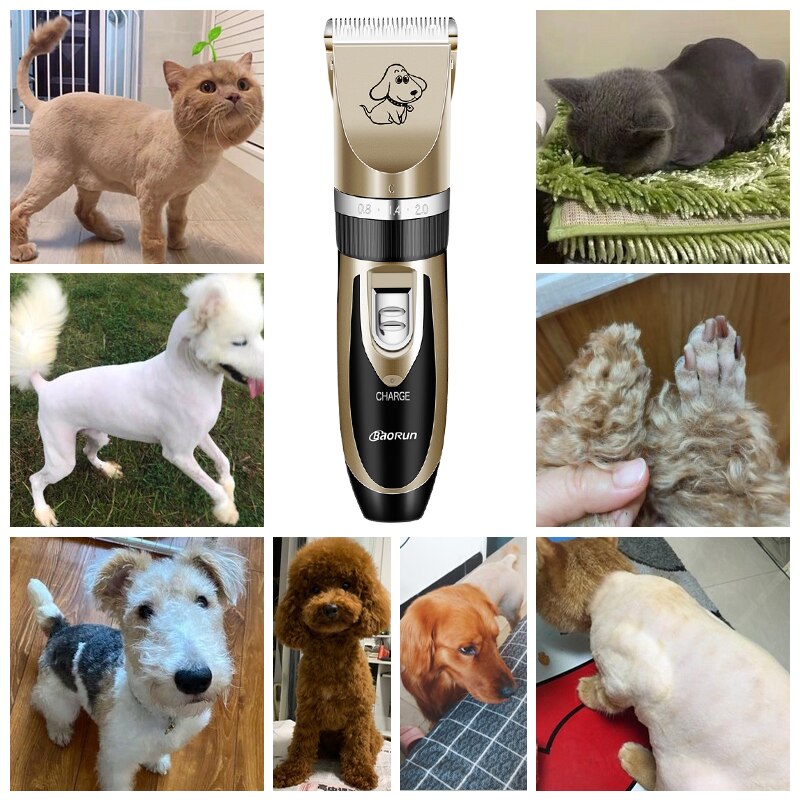Tondeuse professionnelle Rechargeable pour chiens et chats, rasoir de toilettage à faible bruit, détacheur de poils d'animaux Tondeuse professionnelle Rechargeable pour chiens et chats, rasoir de toilettage à faible bruit, détacheur de poils d'animaux