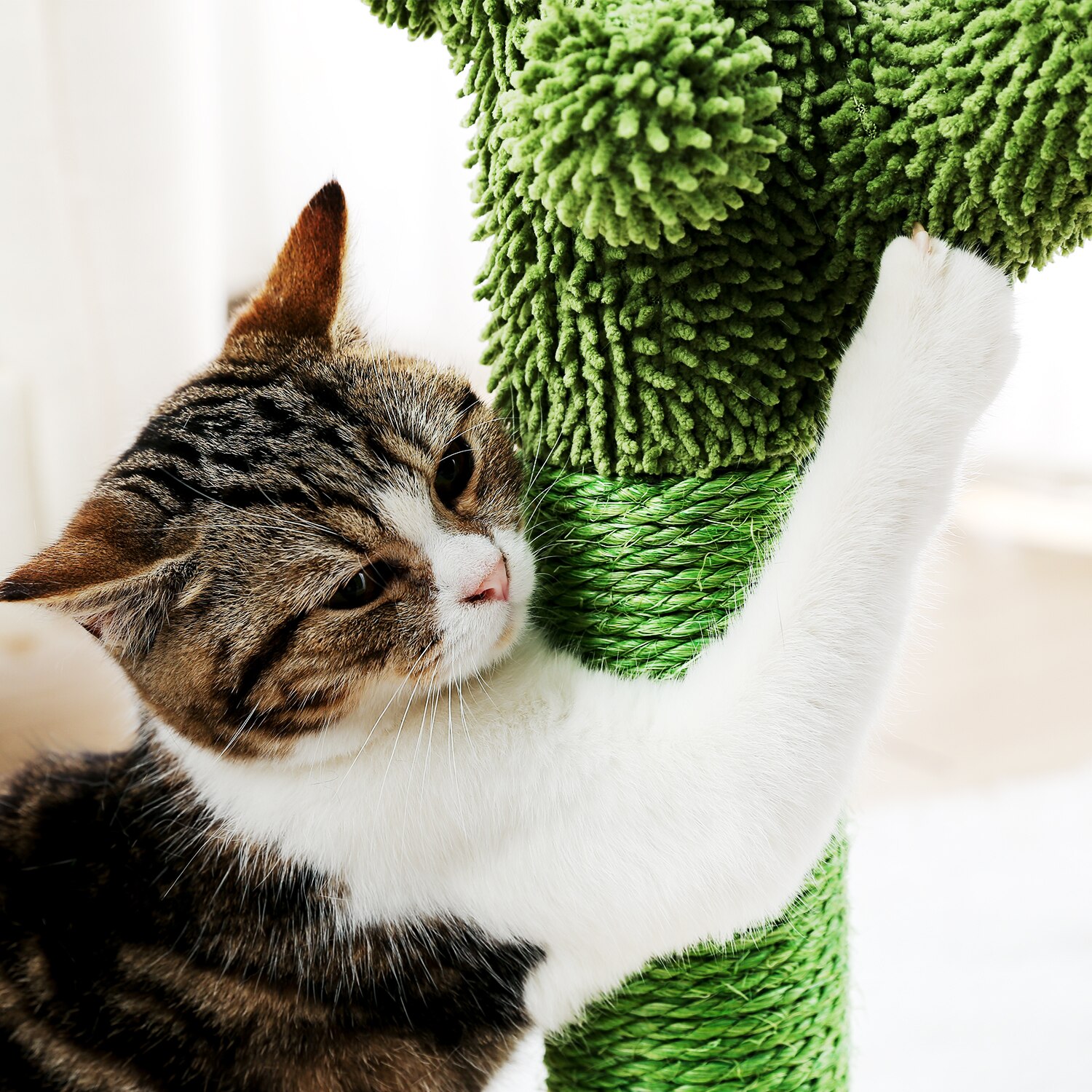 Arbre à chat en forme de Cactus, jouets pour animaux de compagnie, avec poteaux à gratter, pour chats, chaton, escalade, jouet de protection, livraison rapide Arbre à chat en forme de Cactus, jouets pour animaux de compagnie, avec poteaux à gratter, pour chats, chaton, escalade, jouet de protection, livraison rapide