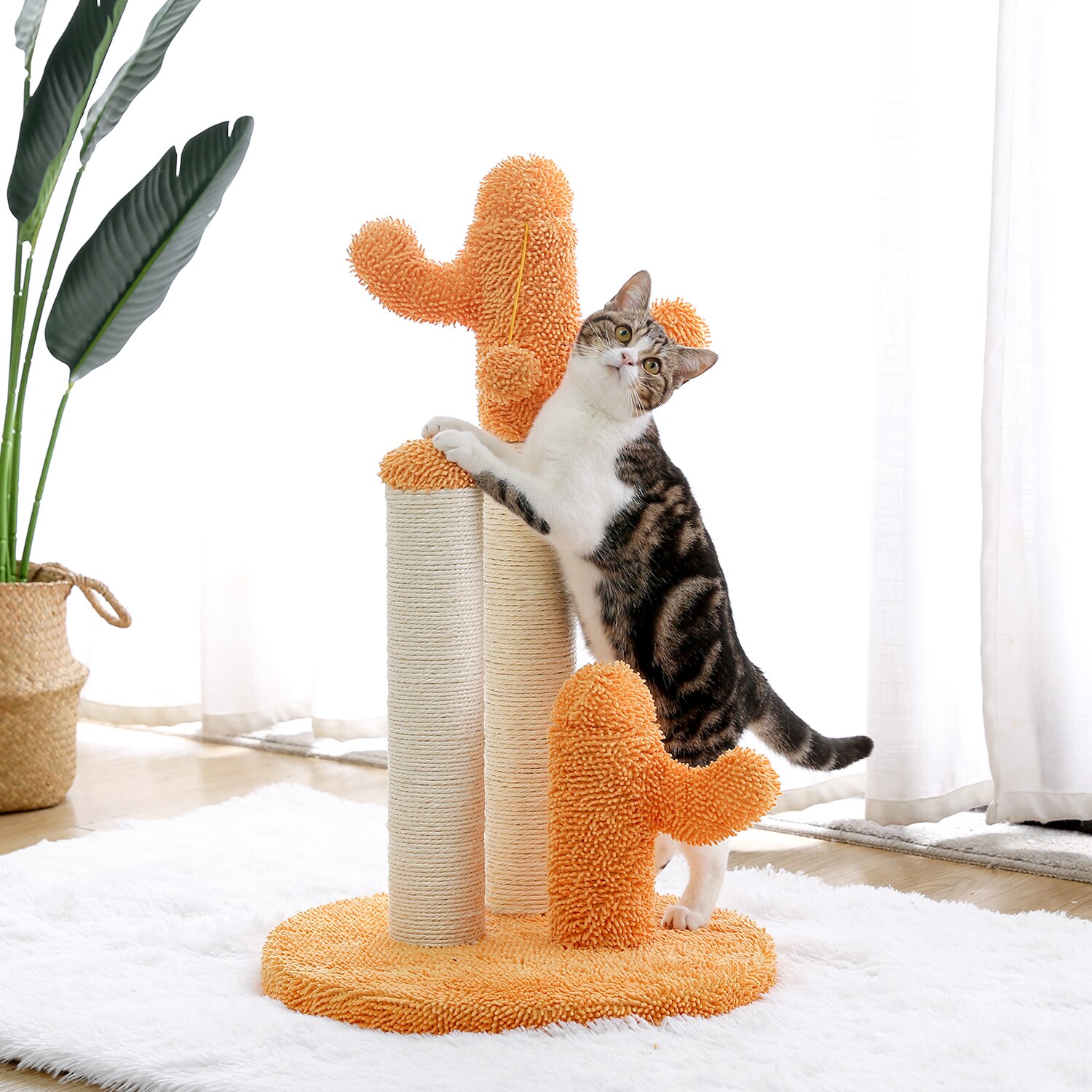Arbre à chat en forme de Cactus, jouets pour animaux de compagnie, avec poteaux à gratter, pour chats, chaton, escalade, jouet de protection, livraison rapide Arbre à chat en forme de Cactus, jouets pour animaux de compagnie, avec poteaux à gratter, pour chats, chaton, escalade, jouet de protection, livraison rapide