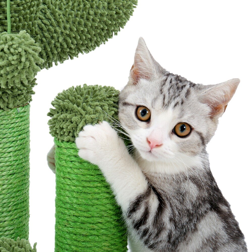 Arbre à chat en forme de Cactus, jouets pour animaux de compagnie, avec poteaux à gratter, pour chats, chaton, escalade, jouet de protection, livraison rapide Arbre à chat en forme de Cactus, jouets pour animaux de compagnie, avec poteaux à gratter, pour chats, chaton, escalade, jouet de protection, livraison rapide