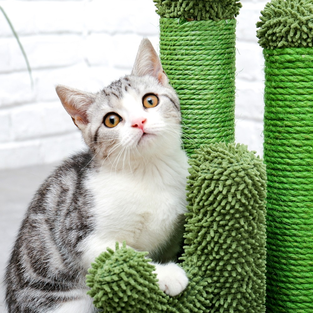 Arbre à chat en forme de Cactus, jouets pour animaux de compagnie, avec poteaux à gratter, pour chats, chaton, escalade, jouet de protection, livraison rapide Arbre à chat en forme de Cactus, jouets pour animaux de compagnie, avec poteaux à gratter, pour chats, chaton, escalade, jouet de protection, livraison rapide