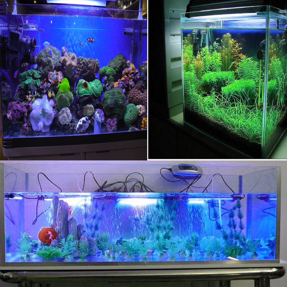 Lumières LED d'aquarium étanche Aquarium barre lumineuse bleu/blanc 19/29/39/49CM Submersible sous-marine pince lampe aquatique décor ue Lumières LED d'aquarium étanche Aquarium barre lumineuse bleu/blanc 19/29/39/49CM Submersible sous-marine pince lampe aquatique décor ue