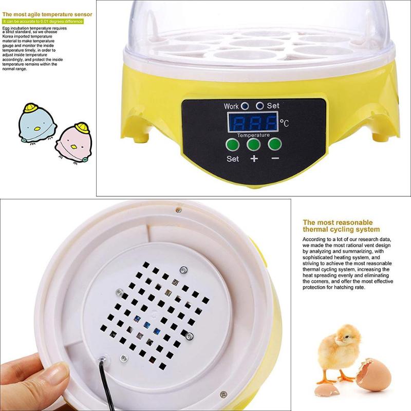 Mini 7 oeuf incubateur volaille incubateur couveuse numérique température écloserie oeuf incubateur couveuse poulet canard oiseau Pigeon Mini 7 oeuf incubateur volaille incubateur couveuse numérique température écloserie oeuf incubateur couveuse poulet canard oiseau Pigeon