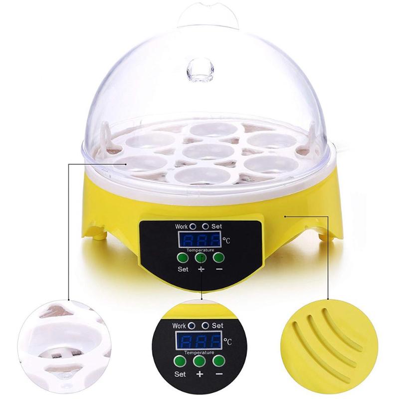 Mini 7 oeuf incubateur volaille incubateur couveuse numérique température écloserie oeuf incubateur couveuse poulet canard oiseau Pigeon Mini 7 oeuf incubateur volaille incubateur couveuse numérique température écloserie oeuf incubateur couveuse poulet canard oiseau Pigeon