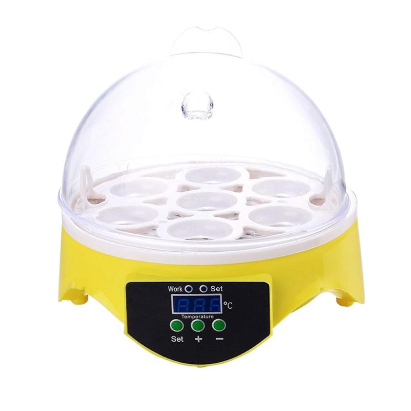 Mini 7 oeuf incubateur volaille incubateur couveuse numérique température écloserie oeuf incubateur couveuse poulet canard oiseau Pigeon Mini 7 oeuf incubateur volaille incubateur couveuse numérique température écloserie oeuf incubateur couveuse poulet canard oiseau Pigeon