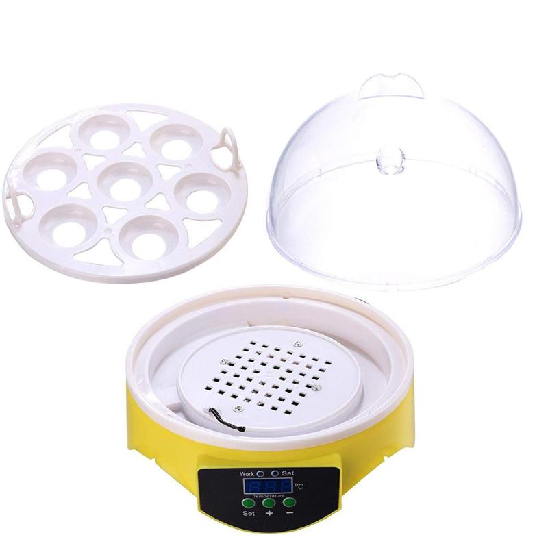 Mini 7 oeuf incubateur volaille incubateur couveuse numérique température écloserie oeuf incubateur couveuse poulet canard oiseau Pigeon Mini 7 oeuf incubateur volaille incubateur couveuse numérique température écloserie oeuf incubateur couveuse poulet canard oiseau Pigeon