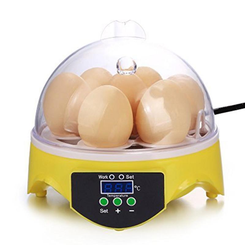 Mini 7 oeuf incubateur volaille incubateur couveuse numérique température écloserie oeuf incubateur couveuse poulet canard oiseau Pigeon Mini 7 oeuf incubateur volaille incubateur couveuse numérique température écloserie oeuf incubateur couveuse poulet canard oiseau Pigeon
