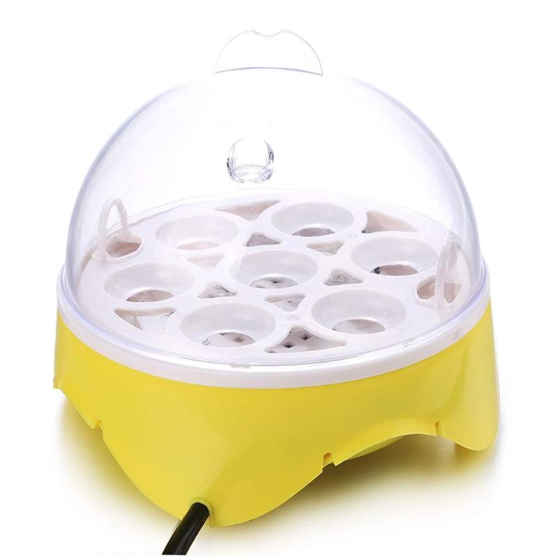 Mini 7 oeuf incubateur volaille incubateur couveuse numérique température écloserie oeuf incubateur couveuse poulet canard oiseau Pigeon Mini 7 oeuf incubateur volaille incubateur couveuse numérique température écloserie oeuf incubateur couveuse poulet canard oiseau Pigeon