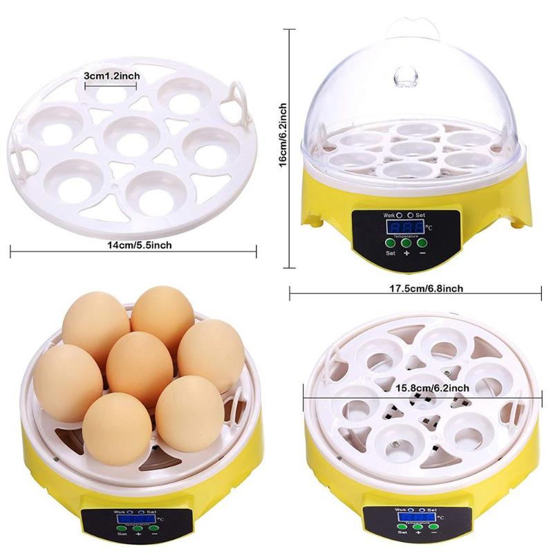 Mini 7 oeuf incubateur volaille incubateur couveuse numérique température écloserie oeuf incubateur couveuse poulet canard oiseau Pigeon Mini 7 oeuf incubateur volaille incubateur couveuse numérique température écloserie oeuf incubateur couveuse poulet canard oiseau Pigeon