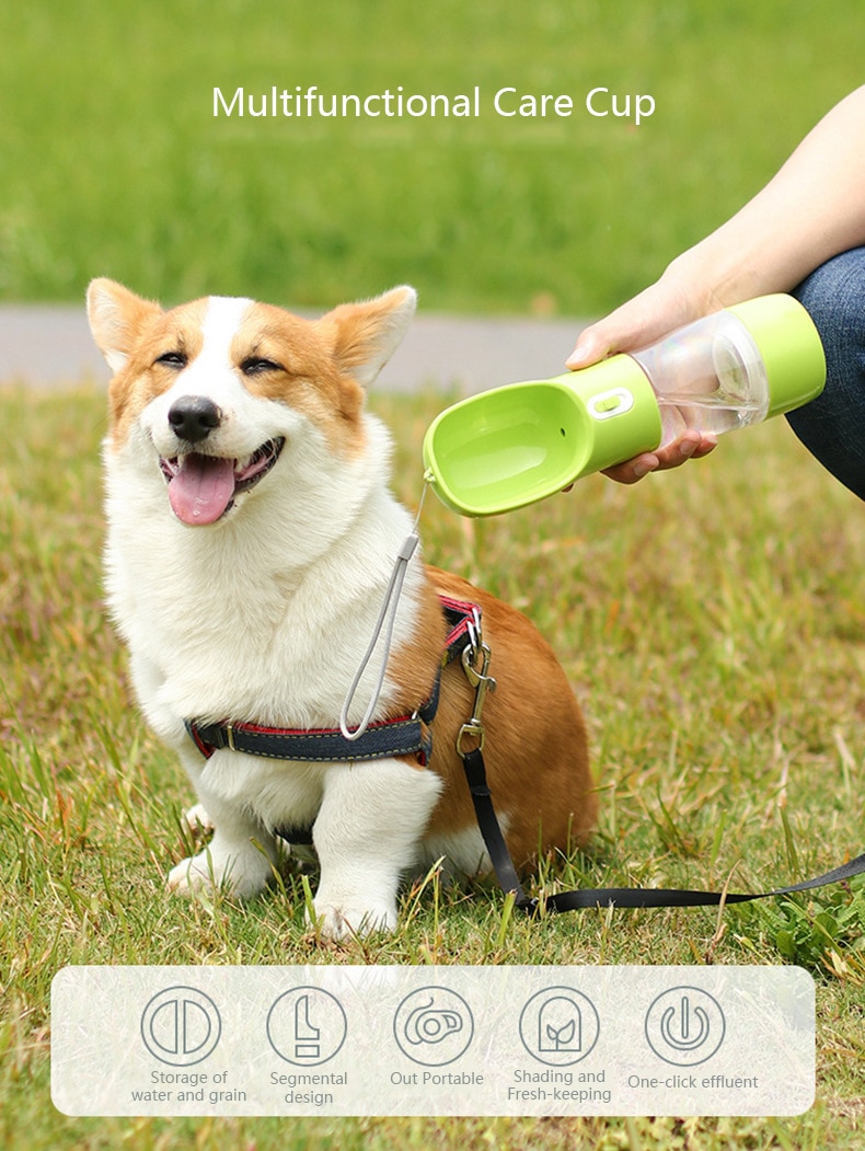 HOOPET – bouteille d'eau Portable pour chiens, pour animaux de compagnie, voyage en plein air, bol d'eau pour chiens