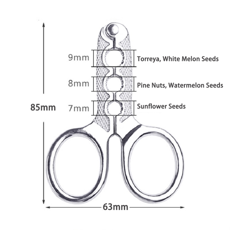 Éplucheur de graines de Melon en acier inoxydable, pinceuses de noix, éplucheur de graines de tournesol, outils de cuisine