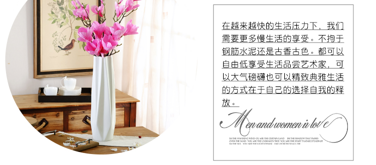 Grand Vase minimaliste en céramique, Design d'intérieur décoratif, Pots de fleurs pour plantes, ornements pour la maison