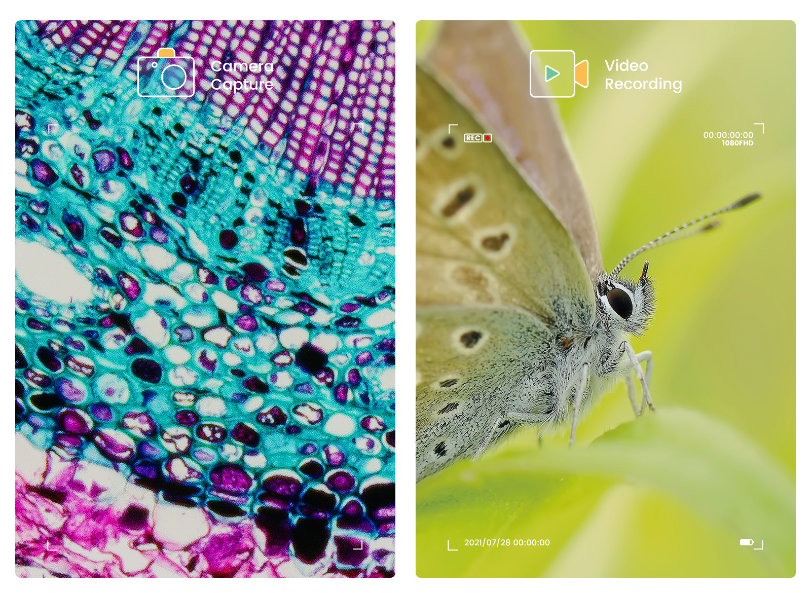 Andonstar – Microscope numérique 10 ''2000X UHD 2160P HDMI, AD249SM avec connexion PC à 3 lentilles, pour la soudure de PCB, vérification pour la réparation de téléphones