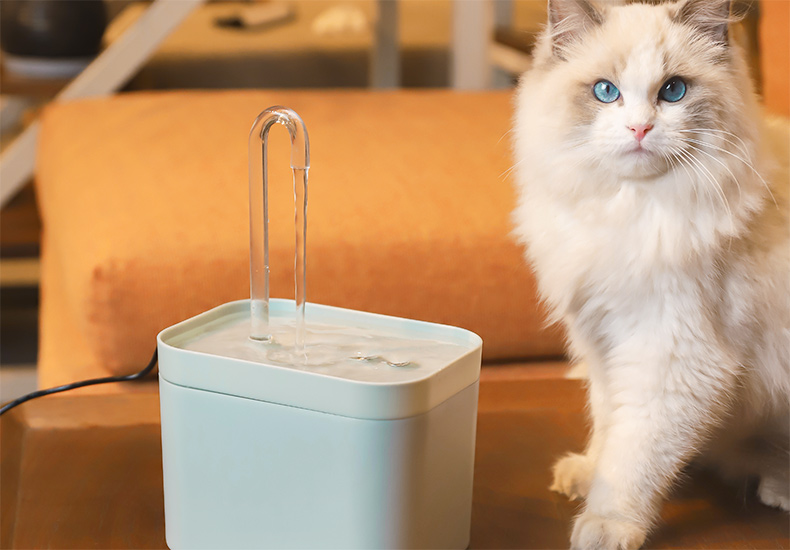 Fontaine à eau pour chat, filtre automatique USB, bol électrique muet pour chat, 1,5 l, filtre à recirculation pour chats, distributeur d'eau pour animaux de compagnie