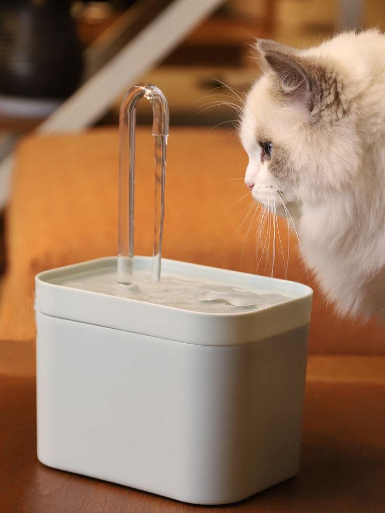 Fontaine à eau pour chat, filtre automatique USB, bol électrique muet pour chat, 1,5 l, filtre à recirculation pour chats, distributeur d'eau pour animaux de compagnie