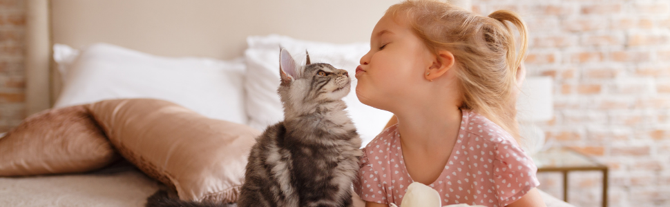 Protecteur de meubles anti-rayures pour chats, protection de canapé, tapis répulsif pour meubles, bande d'entraînement anti-rayures pour chats Protecteur de meubles anti-rayures pour chats, protection de canapé, tapis répulsif pour meubles, bande d'entraînement anti-rayures pour chats