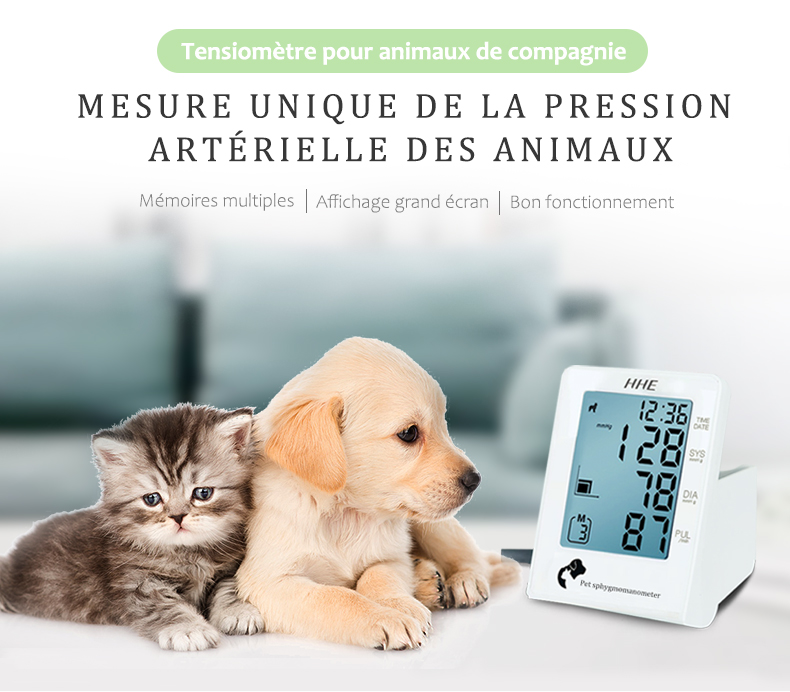 Moniteur de pression artérielle