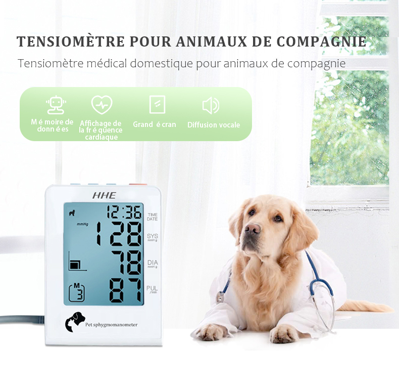 Moniteur de pression artérielle