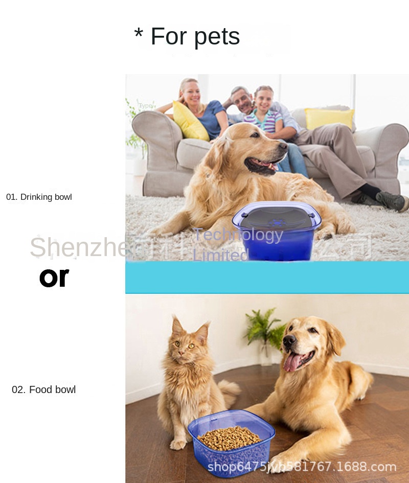 Gamelle chien Distributeur d'eau flottant Transparent