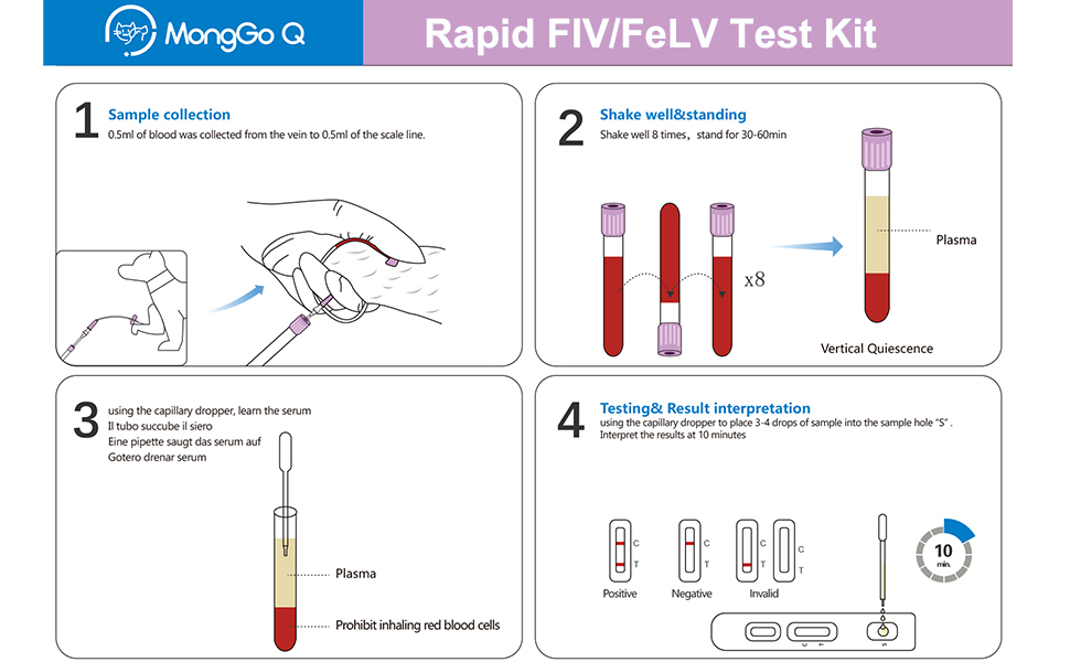 Kit de test de santé pour animaux