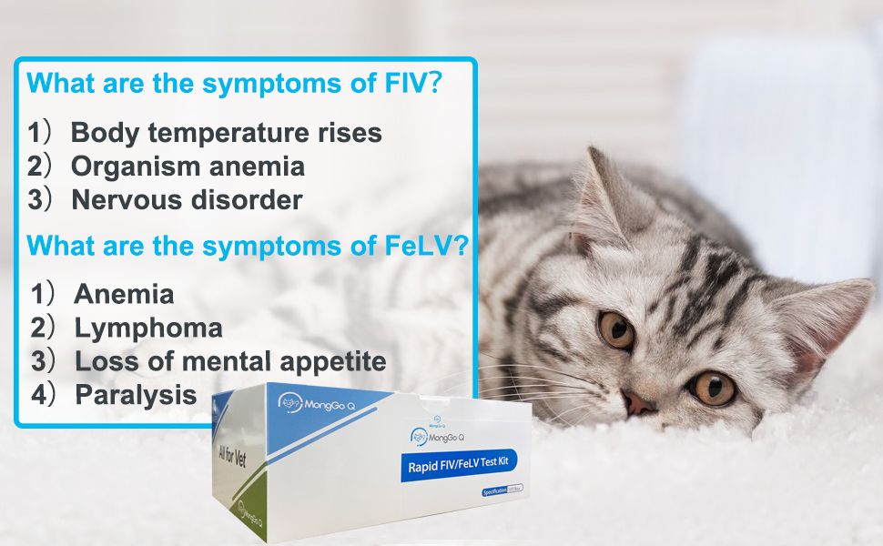 Kit de test de santé pour animaux