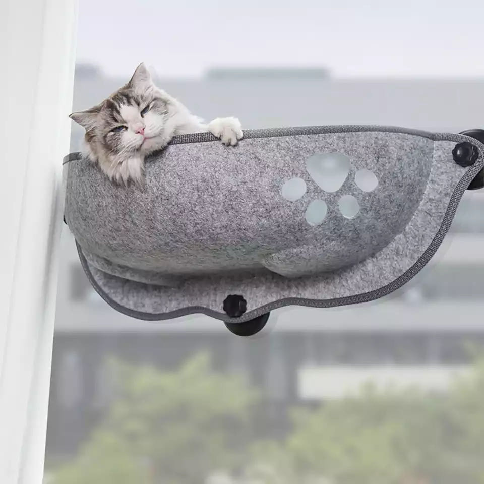 Hamac de fenêtre avec coussin pour chat